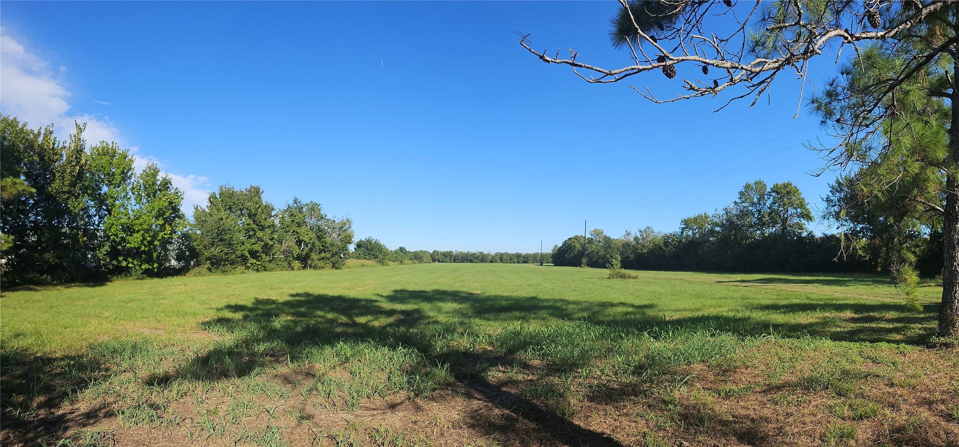 9621 Fm 521 Road, Rosharon, TX 77583 Entering the property, the land opens into an expansive view