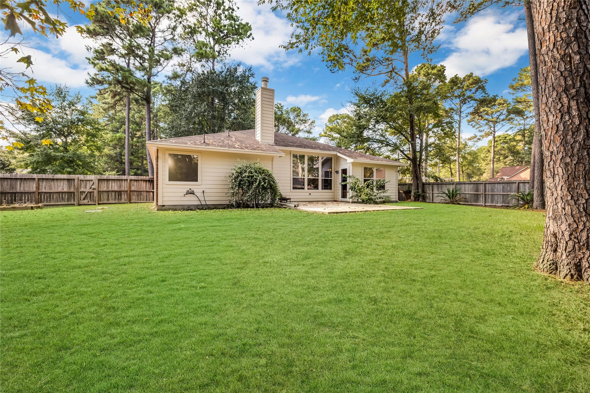914 Mesquite Drive, Magnolia, TX 77354 This fully fenced backyard with patio is ideal for entertaining.