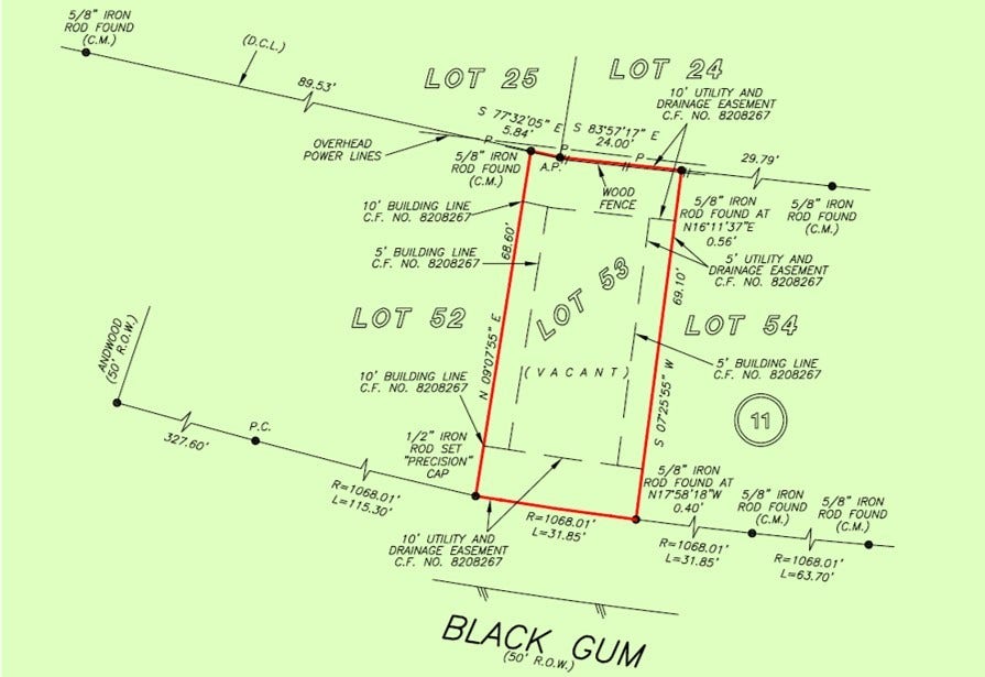 9764 Black Gum, Willis, TX 77318 9764 Black Gum, Willis, TX 77318