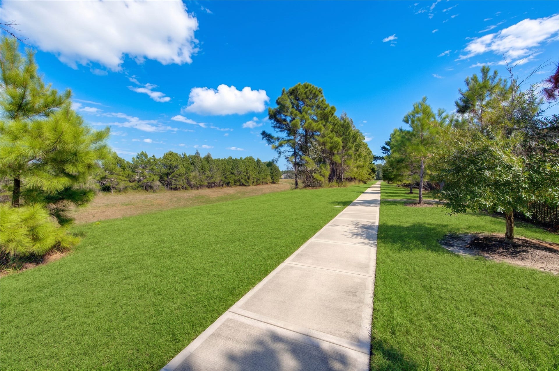 10147 Bayou Oaks Drive, Conroe, TX 77385 10147 Bayou Oaks Drive, Conroe, TX 77385
