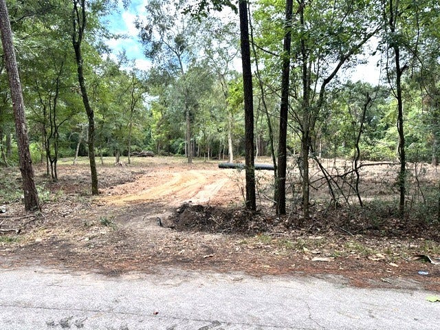 Property photo for 0 Pine Creek Road, Hockley, TX