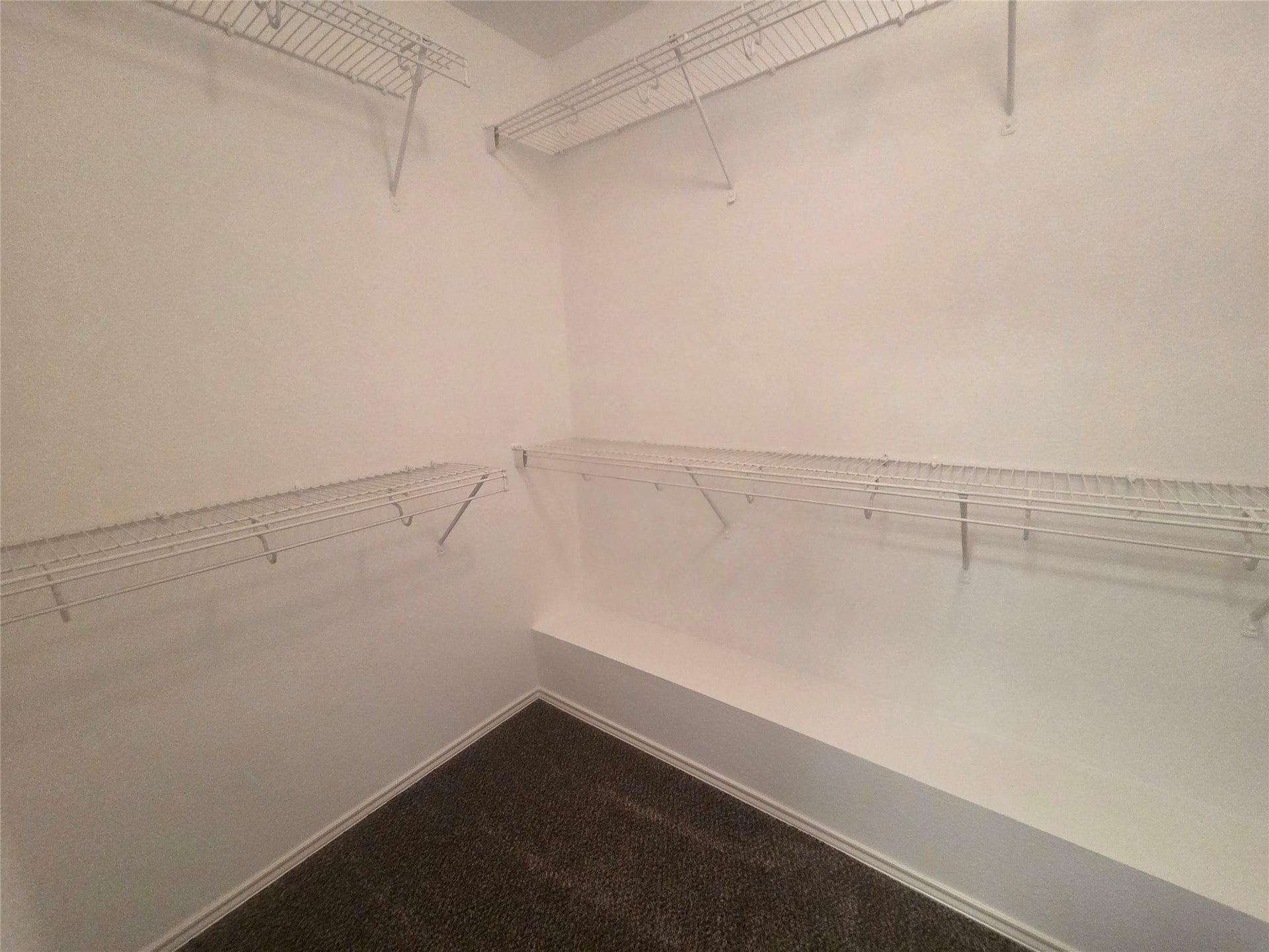 10143 Antelope Alley SW, Missouri City, TX 77459 Primary closet