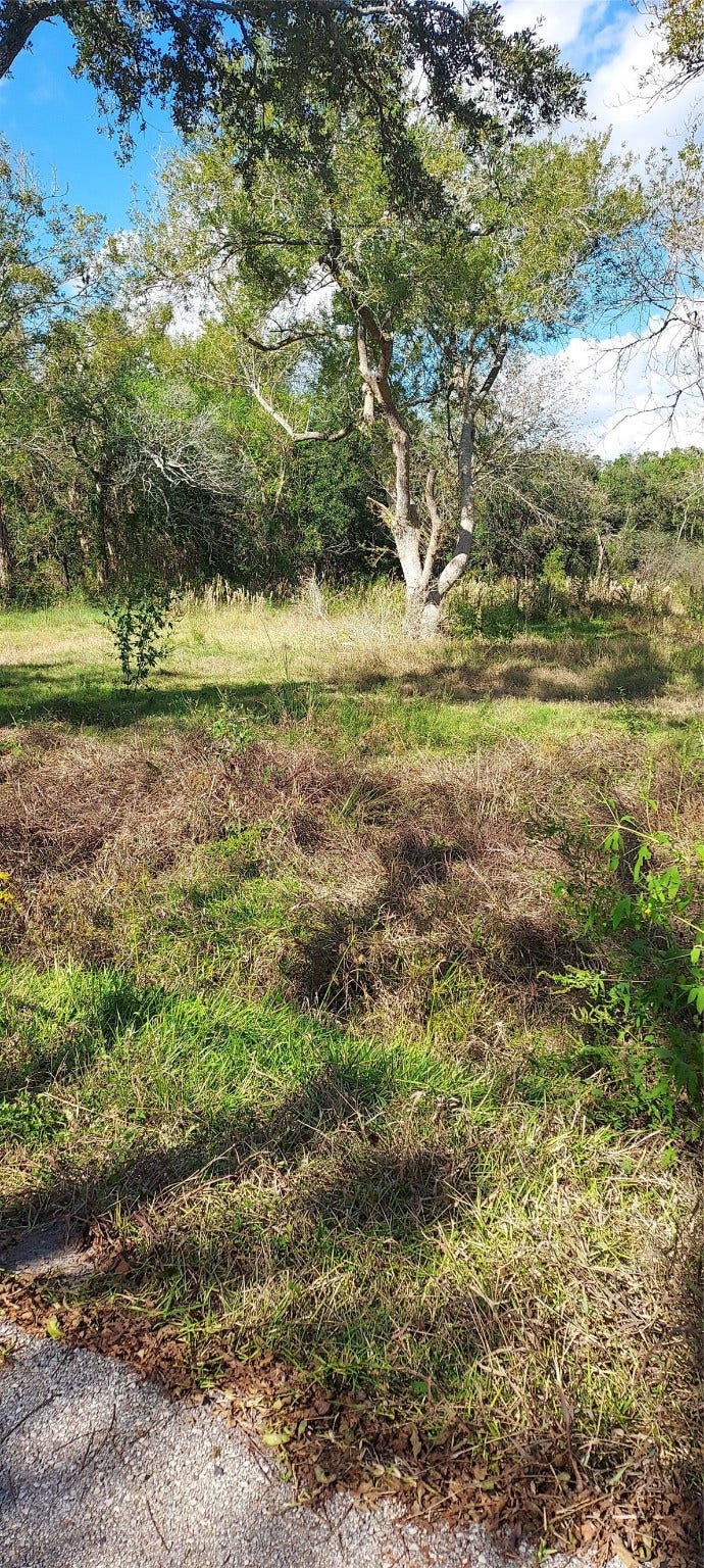 Property photo for 8828 Calagna Road, Hitchcock, TX