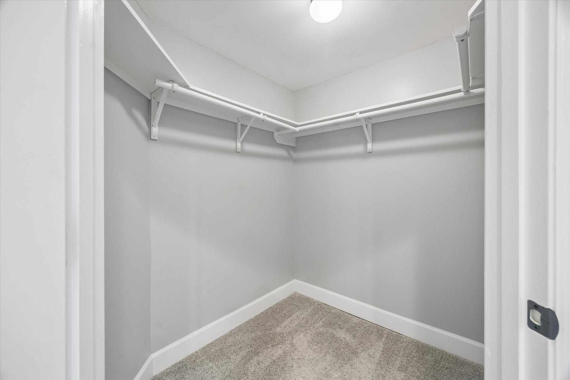 2203 Dorrington Street Street, #205, Houston, TX 77030 This is a spacious walk-in closet with carpeted flooring, neutral walls, and ample hanging space with white shelving. New carpet throughout the home.