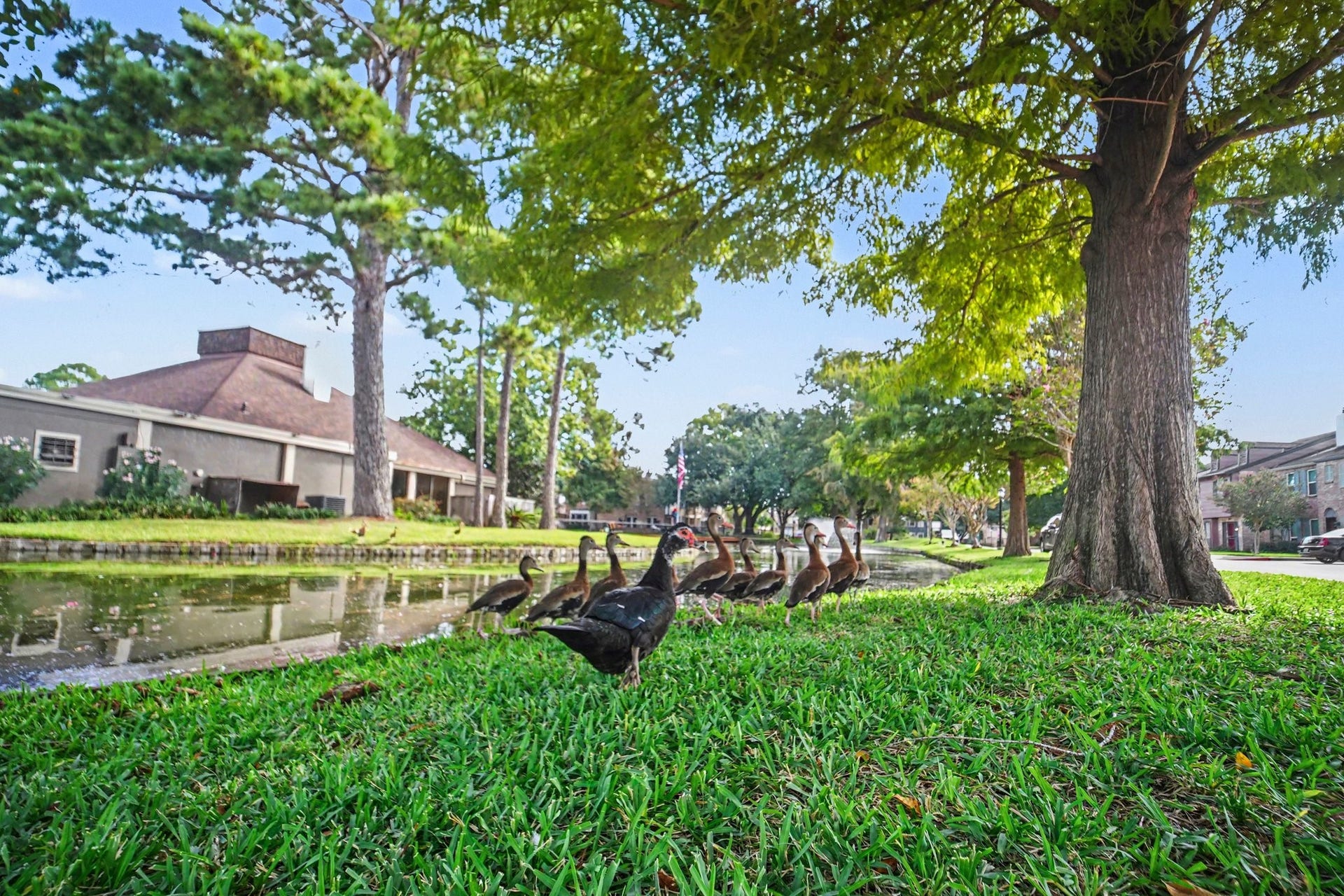 Experience serene living with a picturesque community clubhouse nestled by a tranquil pond, offering a perfect blend of relaxation and nature.