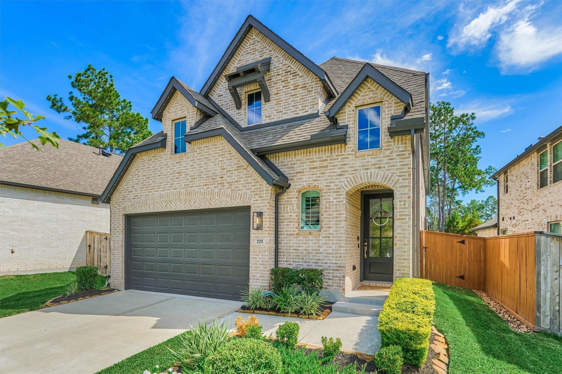 221 Sky Top Drive, Montgomery, TX 77316 221 Sky Top Drive, Montgomery, TX 77316