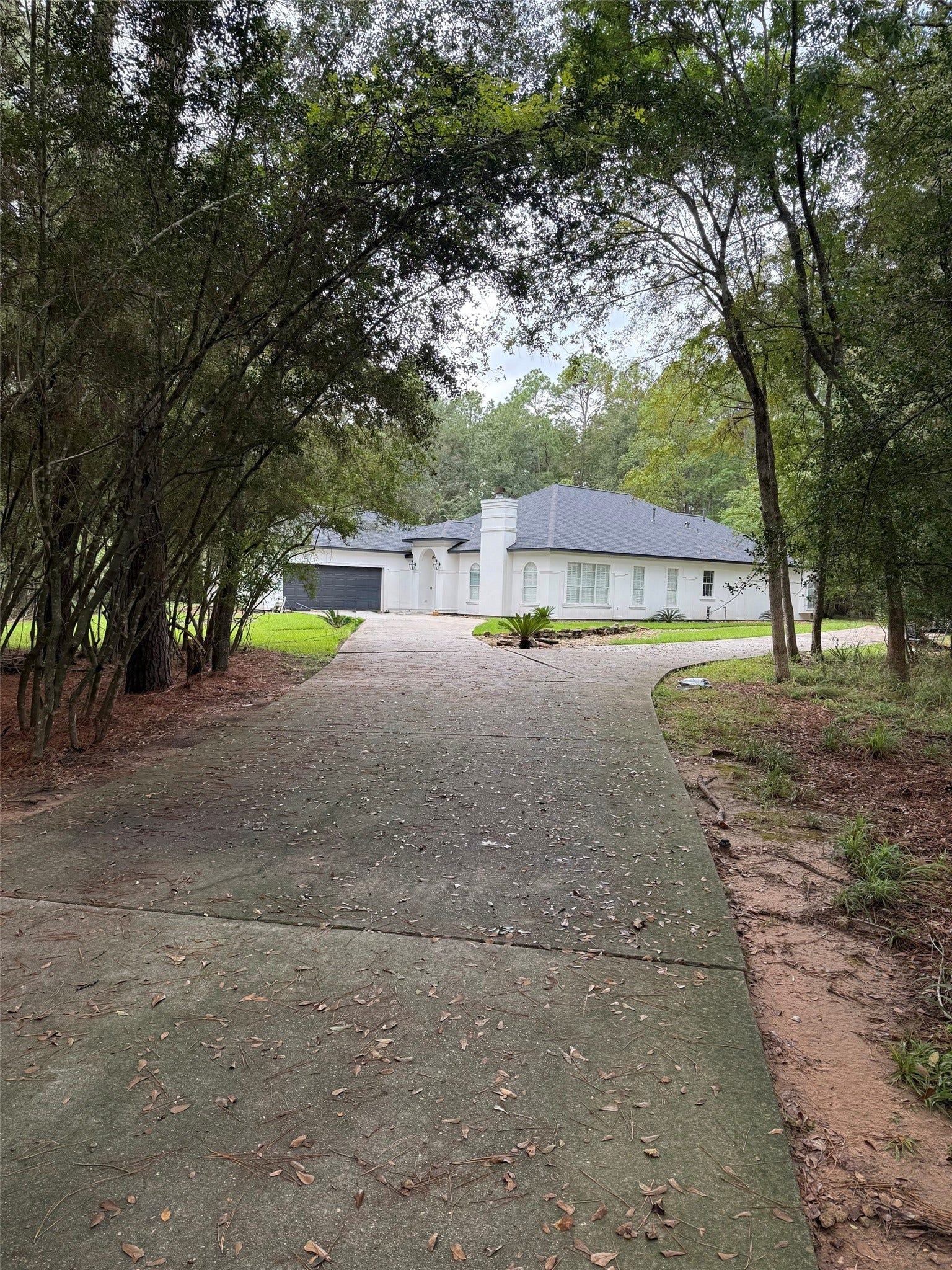 11011 Sea Mist, Magnolia, TX 77354 Tree lined driveway brings you home
