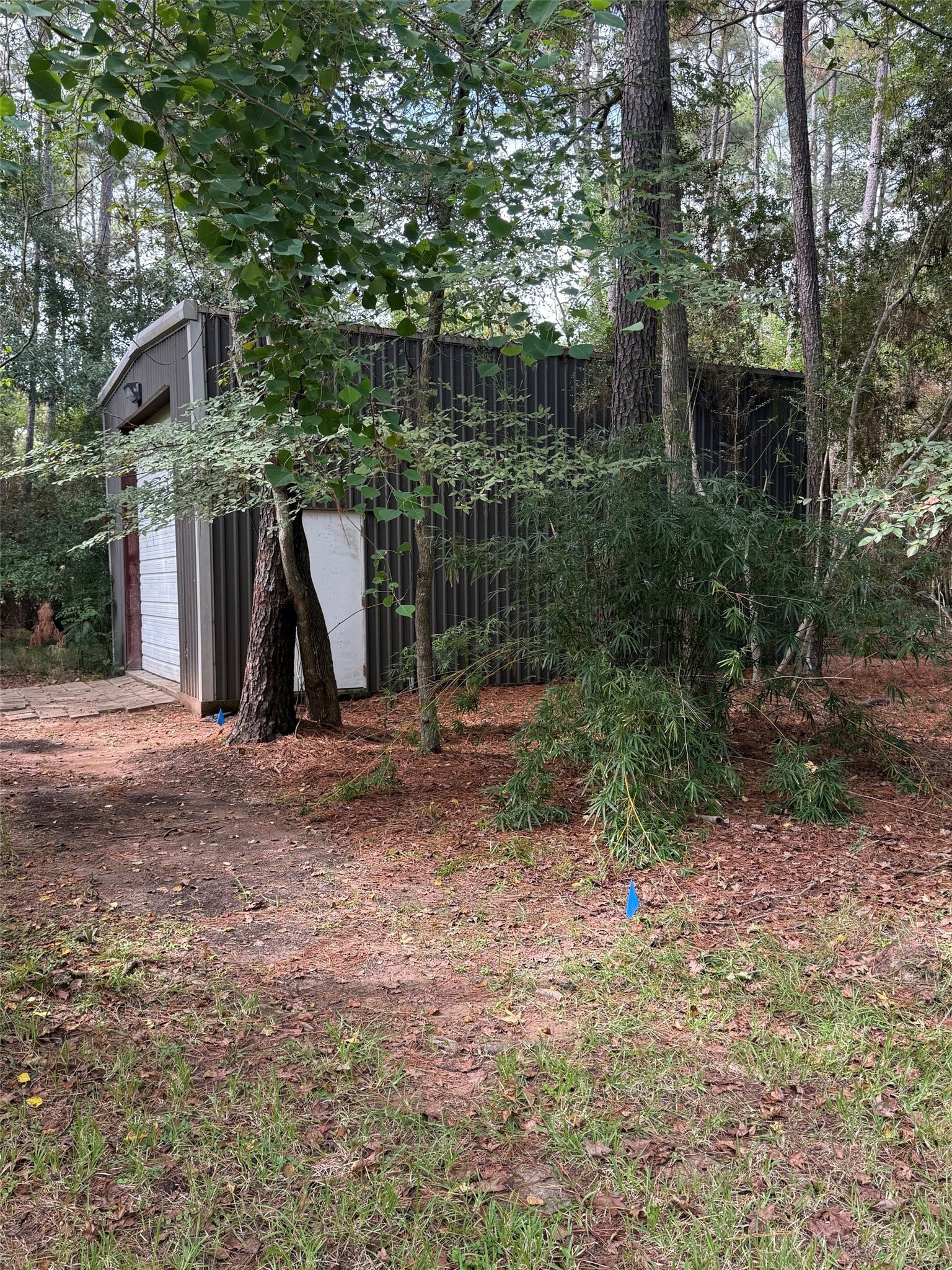 11011 Sea Mist, Magnolia, TX 77354 Shop from driveway area