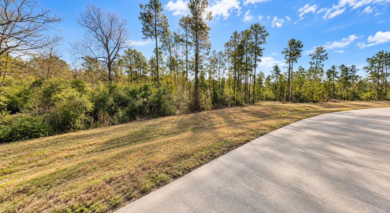 10529 Link Tree Lane, Willis, TX 77378 10529 Link Tree Lane, Willis, TX 77378