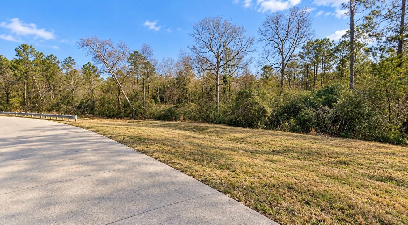 10529 Link Tree Lane, Willis, TX 77378 10529 Link Tree Lane, Willis, TX 77378