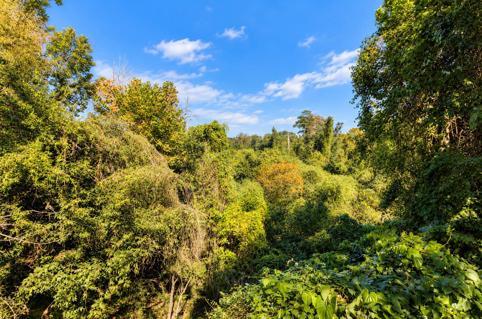 269 Chimney Rock Road, Houston, TX 77024 269 Chimney Rock Road, Houston, TX 77024