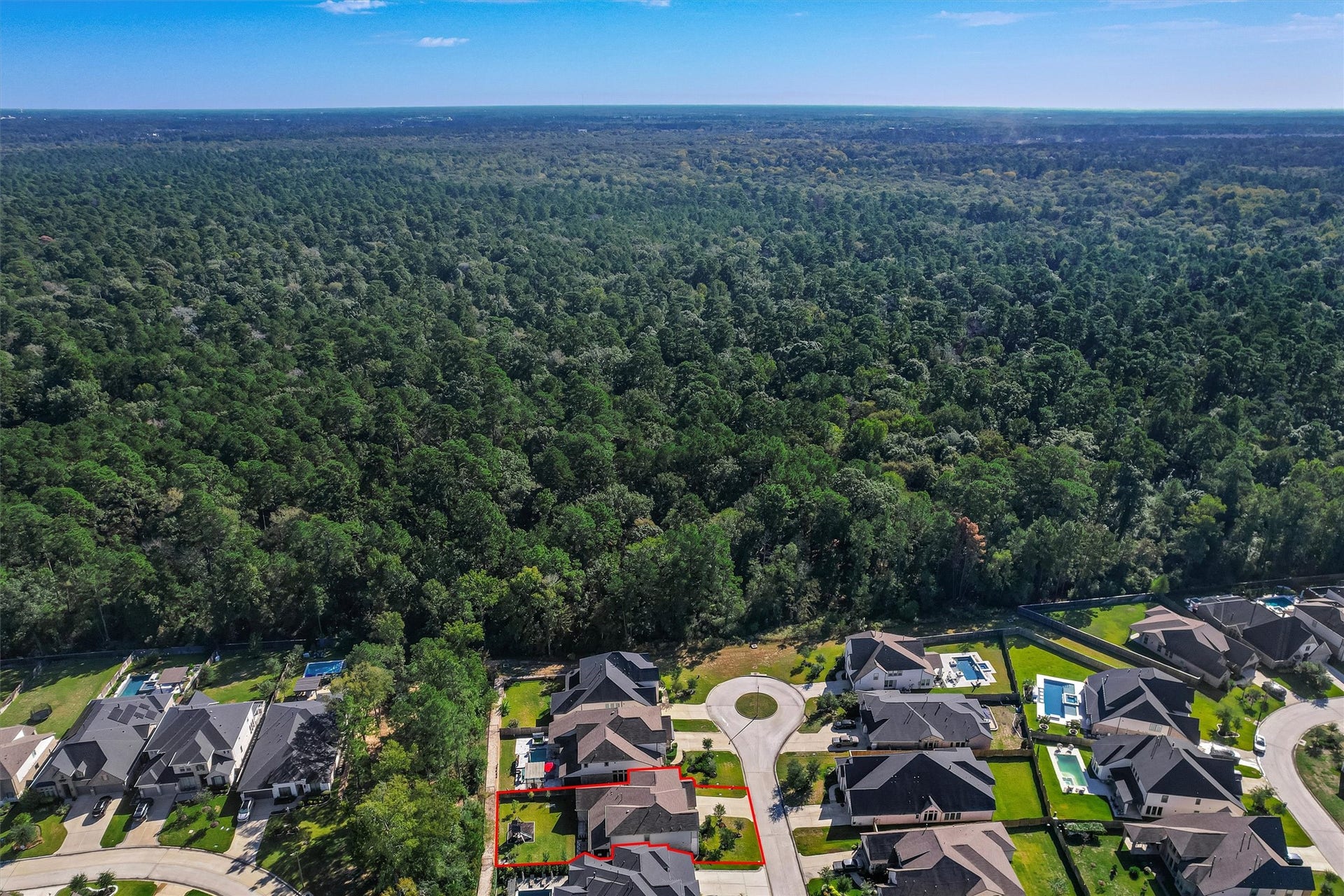 229 Patina Sorrel Drive, Montgomery, TX 77316 229 Patina Sorrel Drive, Montgomery, TX 77316
