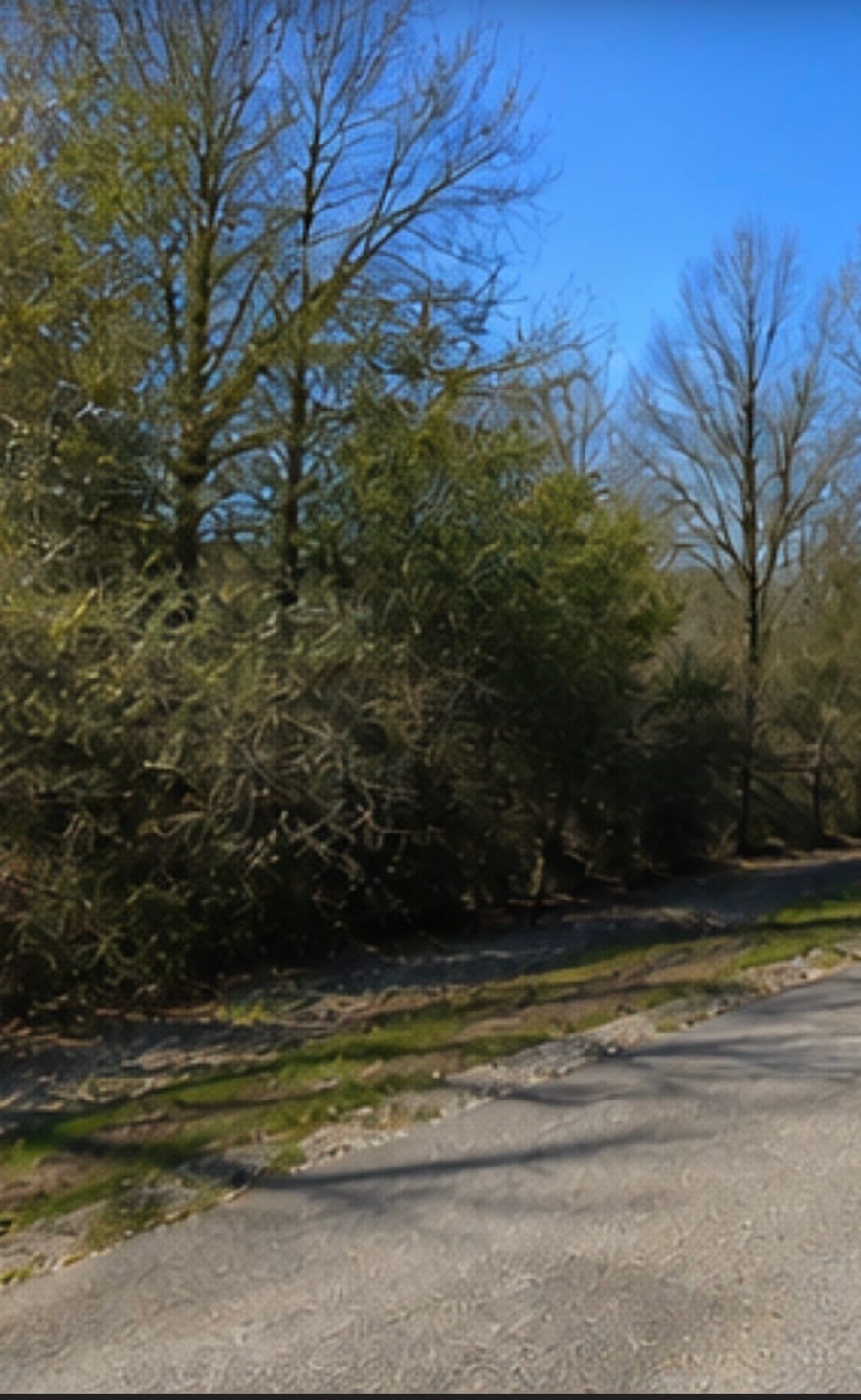 Property photo for 0 Hilltop Road, Kendleton, TX