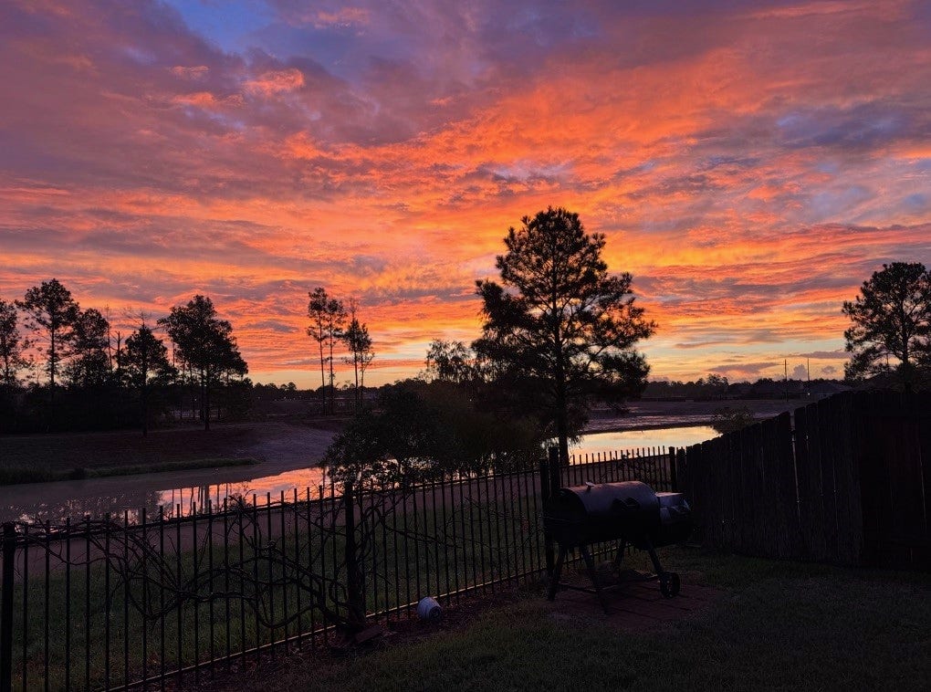 Step outside your back gate to a neighborhood pond, green space, and walking trail with Grand Oaks High School nearby.
