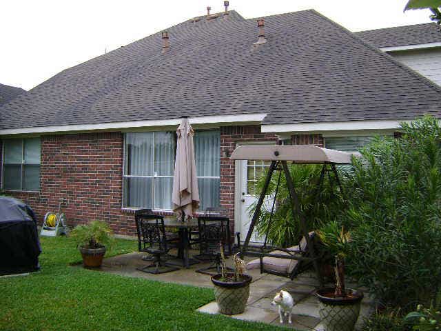 INJOY BACK YARD WITH MATURE BERRY TREE AND FRUIT TREE.