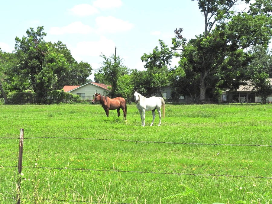 Property photo for 6100 Stuebner Airline Road, Houston, TX