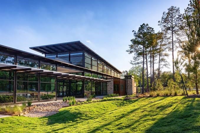 612 Crested Duck Court, Willis, TX 77318