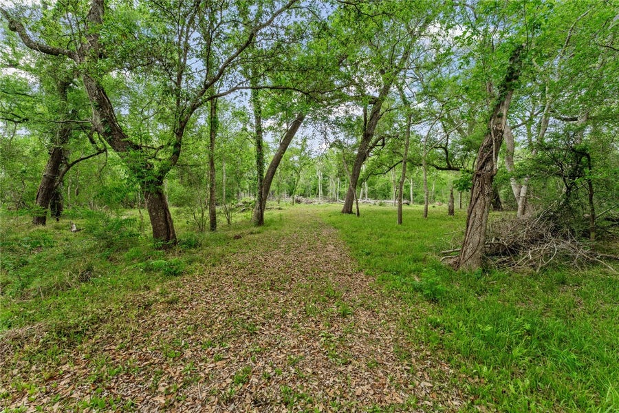 Property photo for 0 Kings Oak Drive, Damon, TX