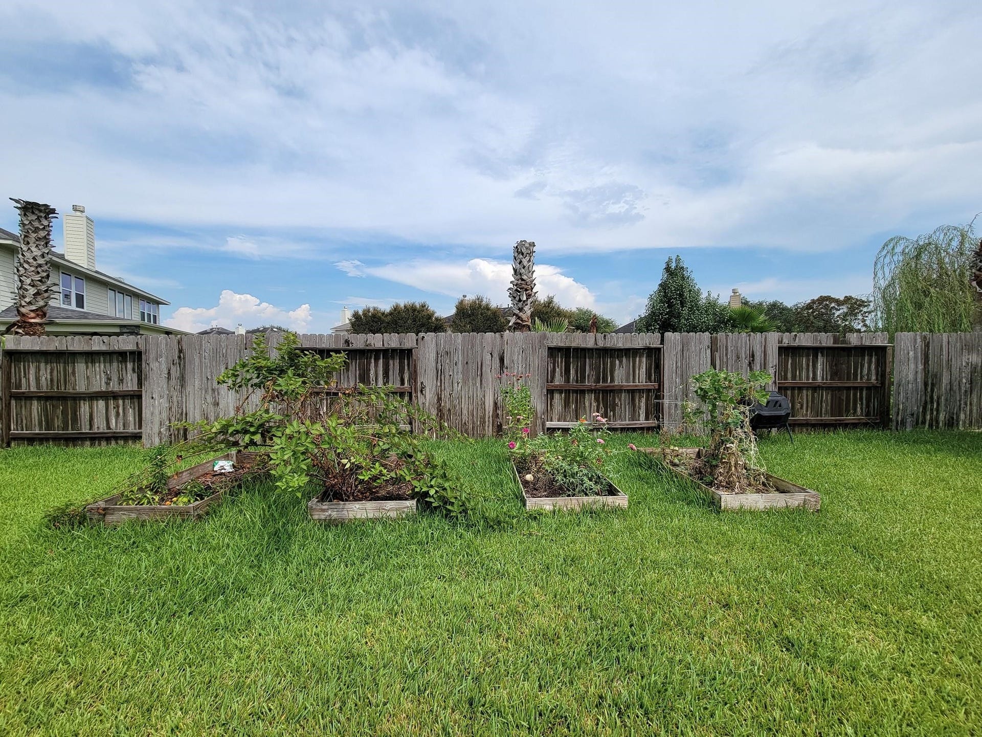 819 Arlington Lane, Rosenberg, TX 77469 819 Arlington Lane, Rosenberg, TX 77469