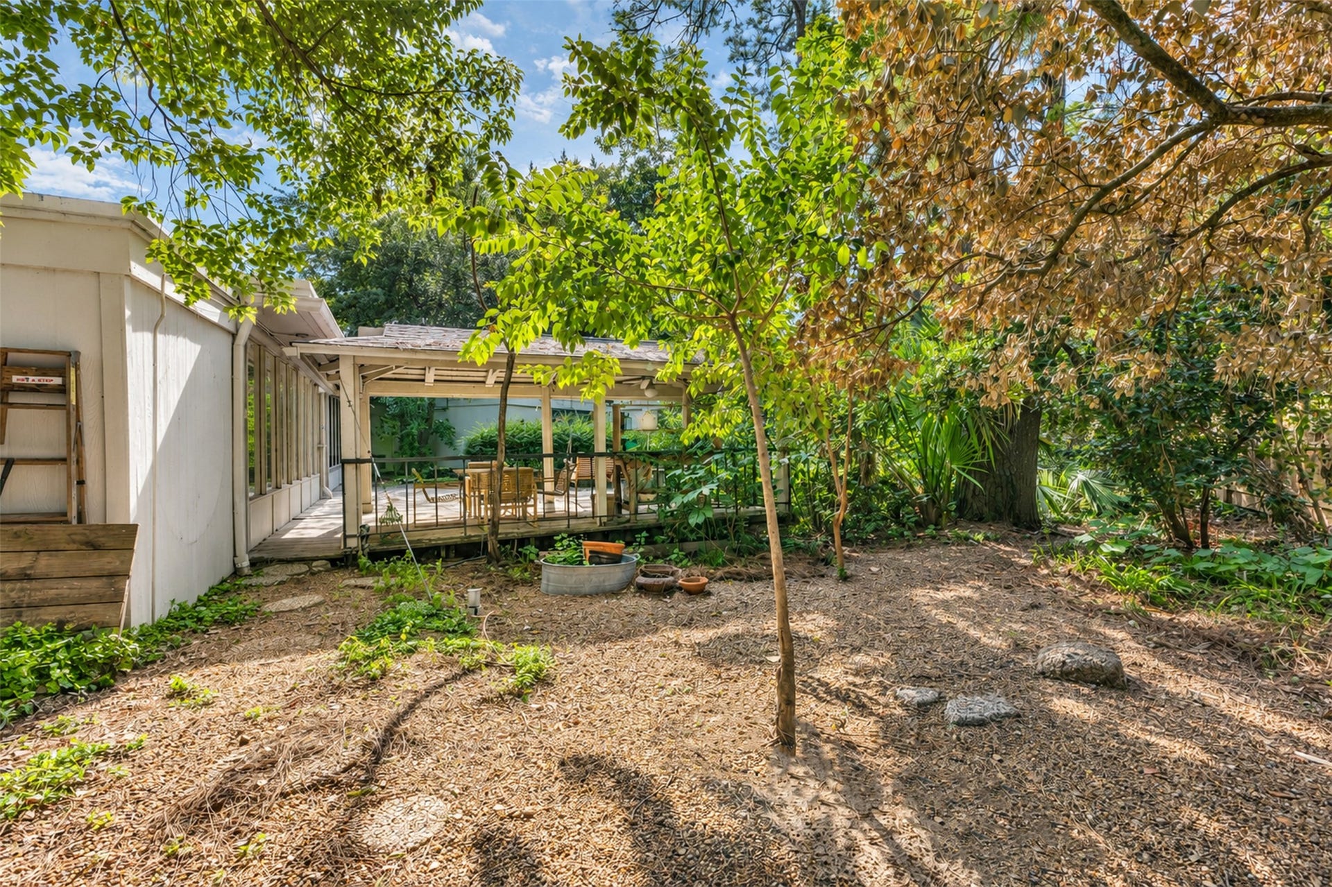 The back yard