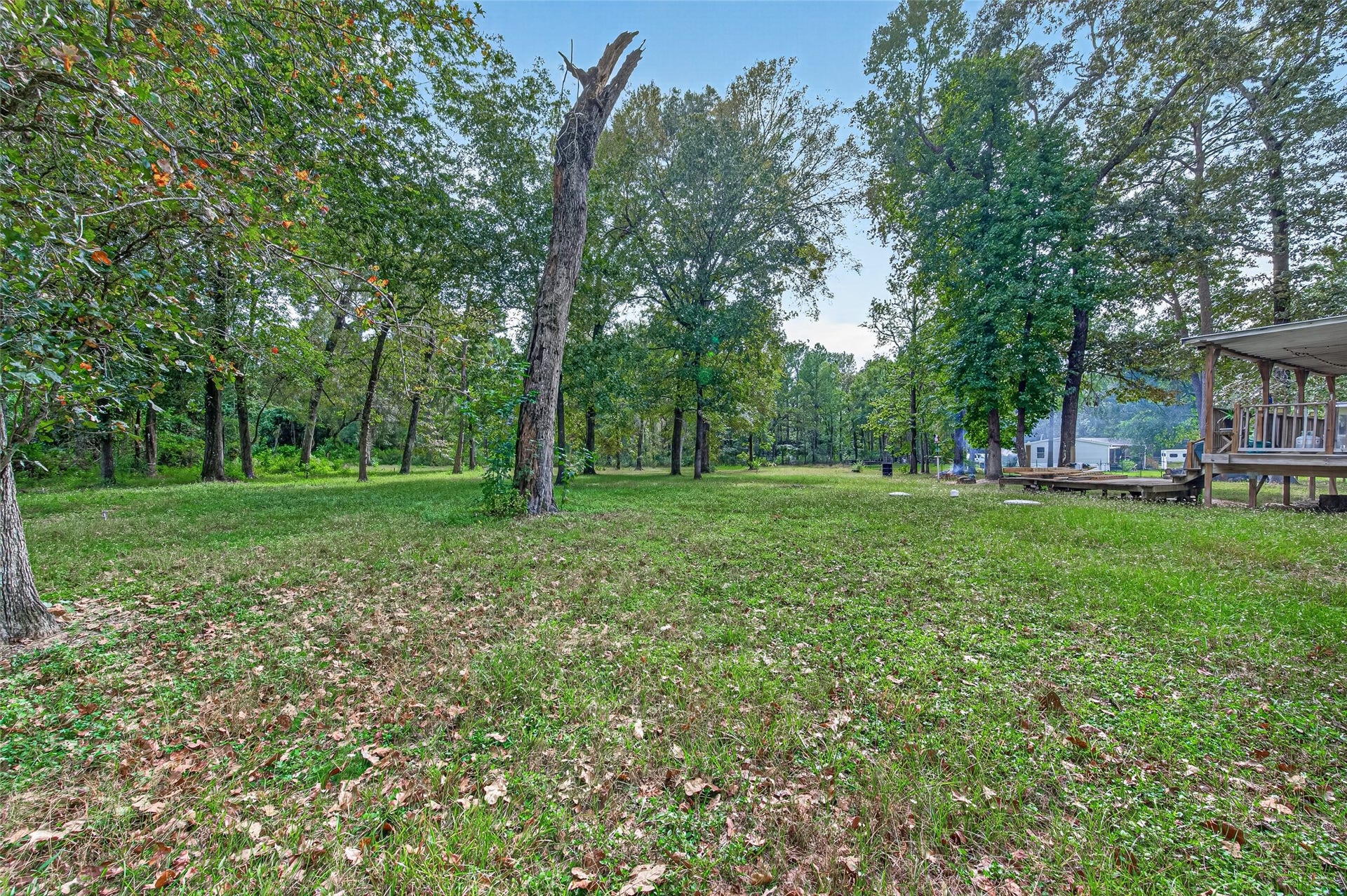 189 Hall Drive S, Montgomery, TX 77316 189 Hall Drive S, Montgomery, TX 77316