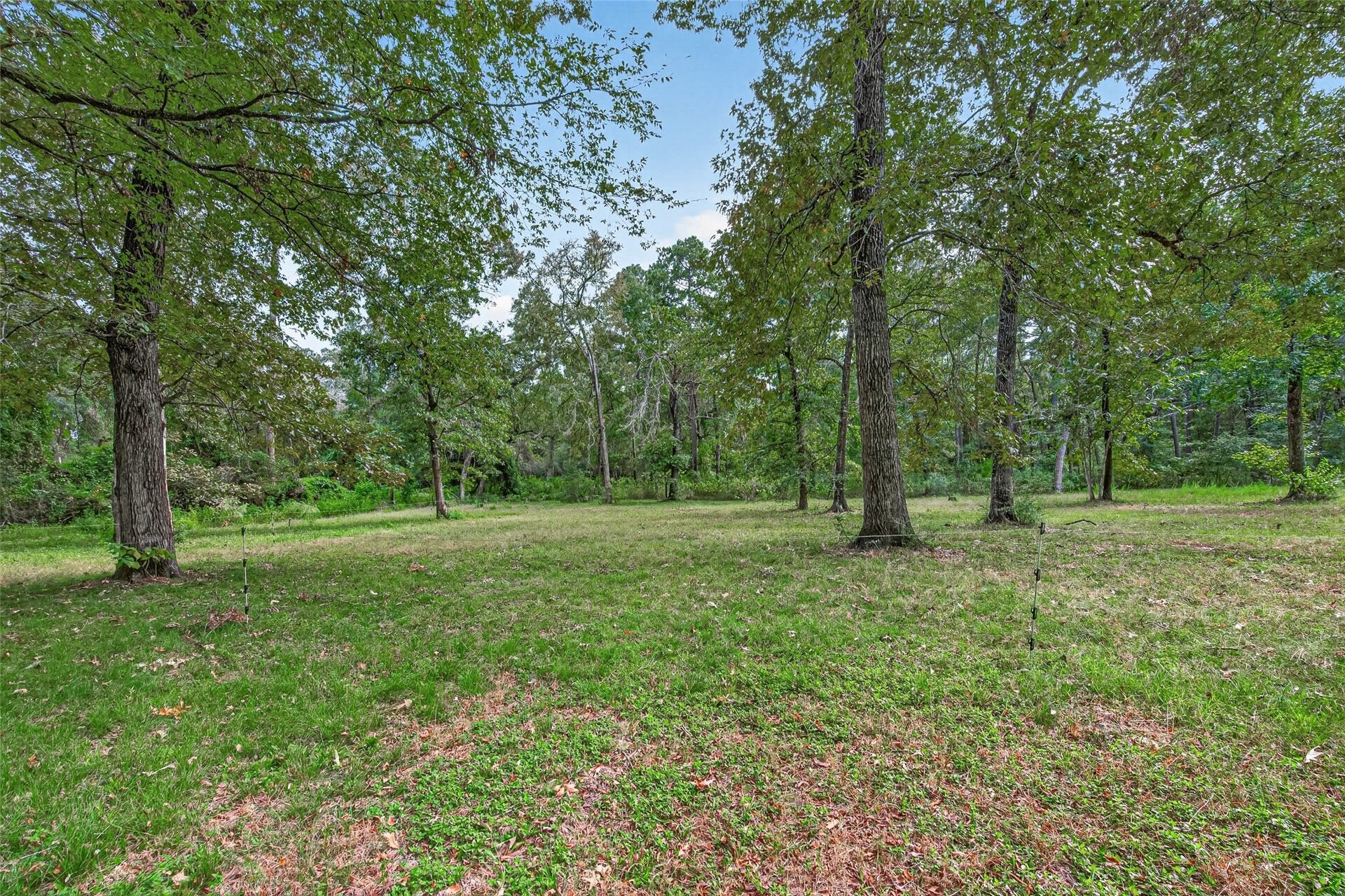 189 Hall Drive S, Montgomery, TX 77316 189 Hall Drive S, Montgomery, TX 77316