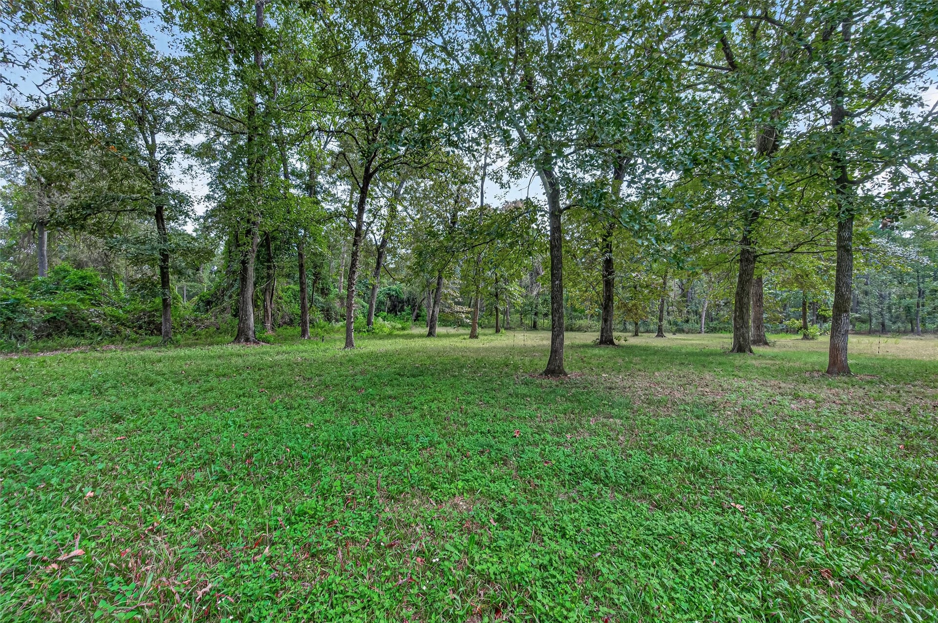 189 Hall Drive S, Montgomery, TX 77316 189 Hall Drive S, Montgomery, TX 77316