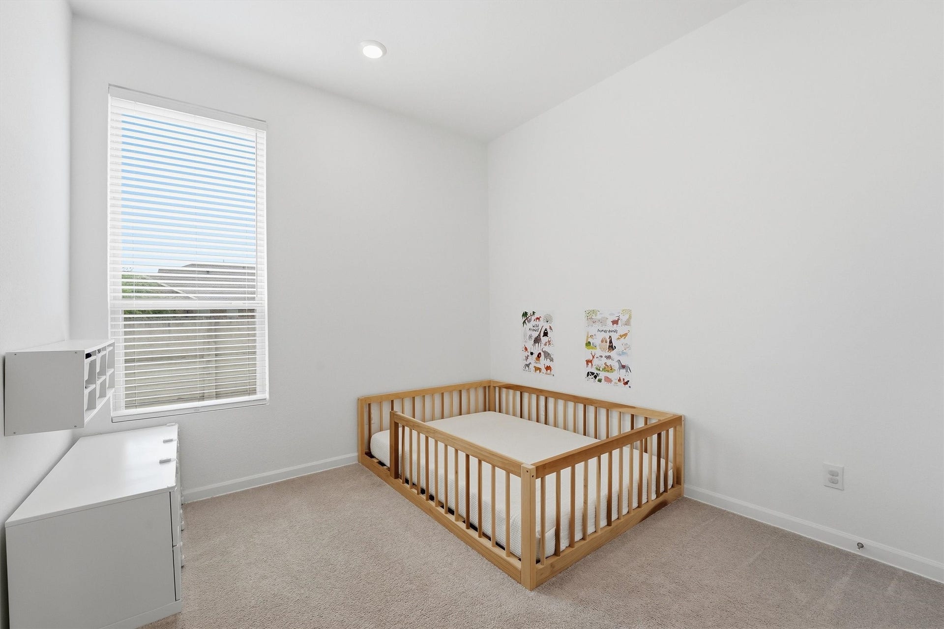 Bright and cozy bedroom featuring soft carpeting and natural light streaming through a large window with blinds.