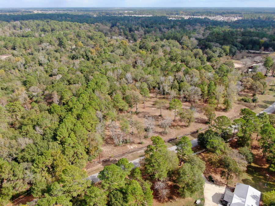 Property photo for 28016 Greenbriar Drive, Hockley, TX
