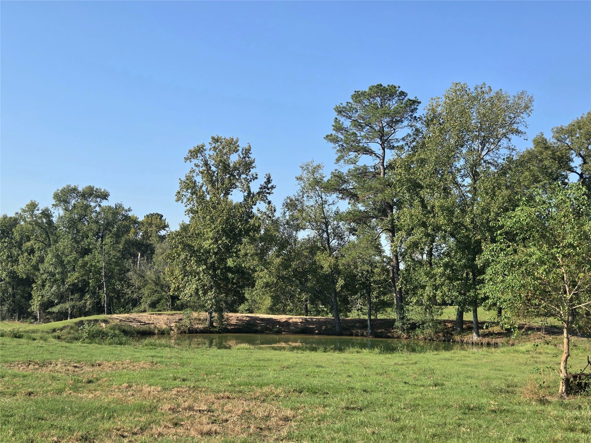 10094 Stidham Road, Conroe, TX 77302 Pond towards the middle front of property.