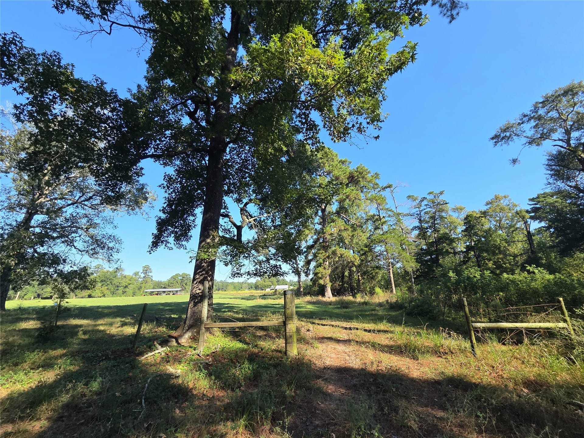 10094 Stidham Road, Conroe, TX 77302 10094 Stidham Road, Conroe, TX 77302
