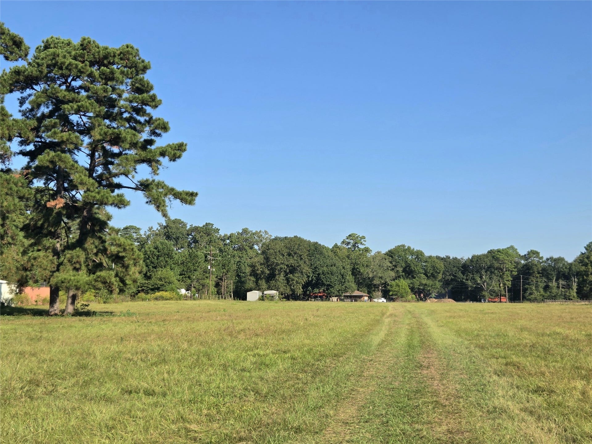 10094 Stidham Road, Conroe, TX 77302 High & dry pastures!