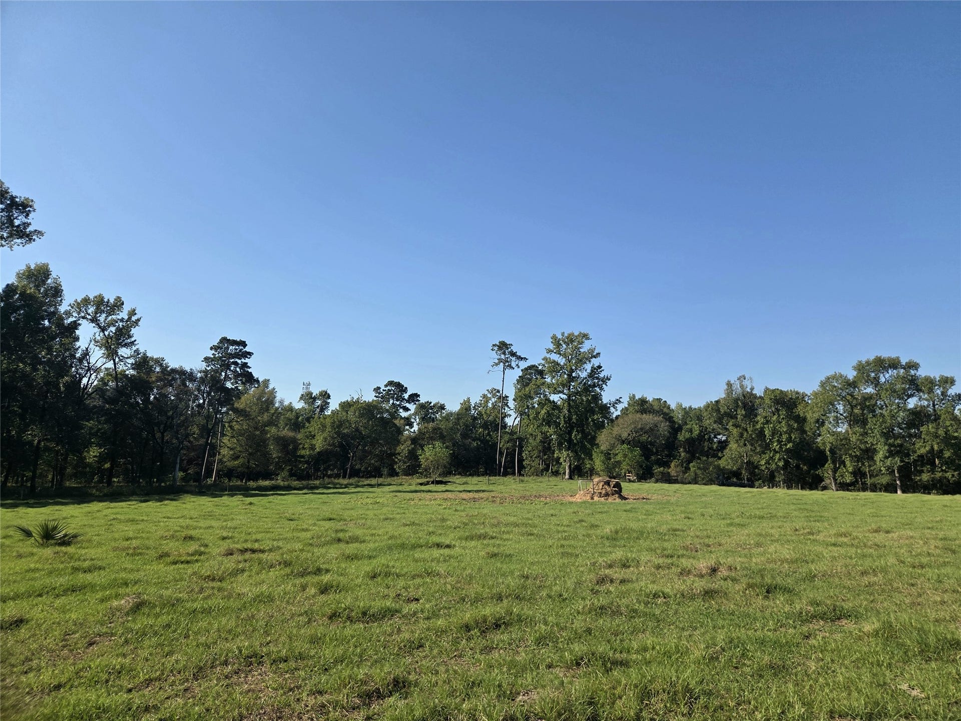 10094 Stidham Road, Conroe, TX 77302 Tons of open space!