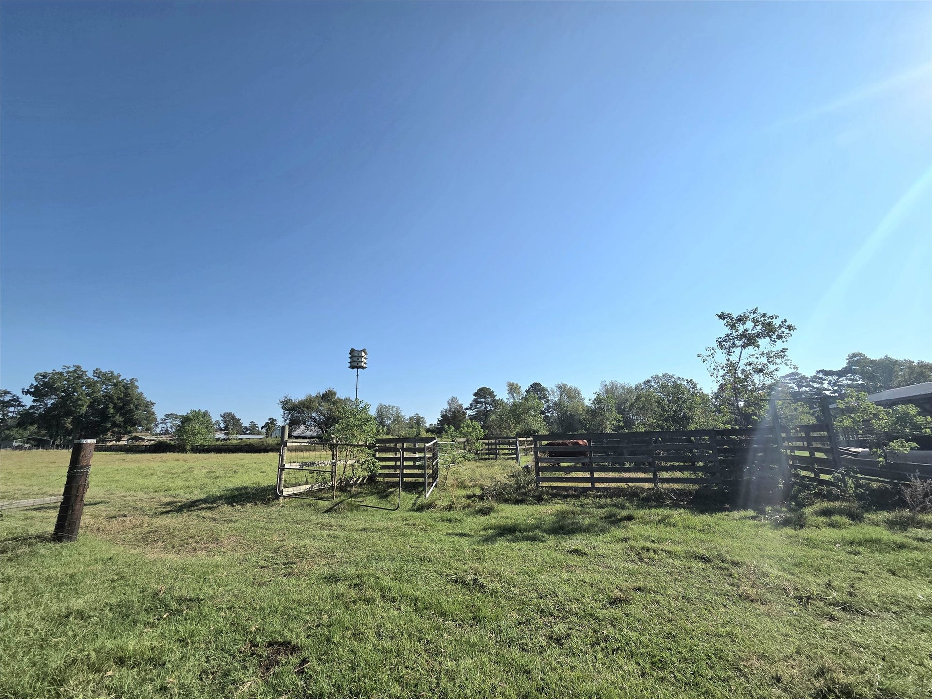 10094 Stidham Road, Conroe, TX 77302 Cattle chutes by larger pole barn.