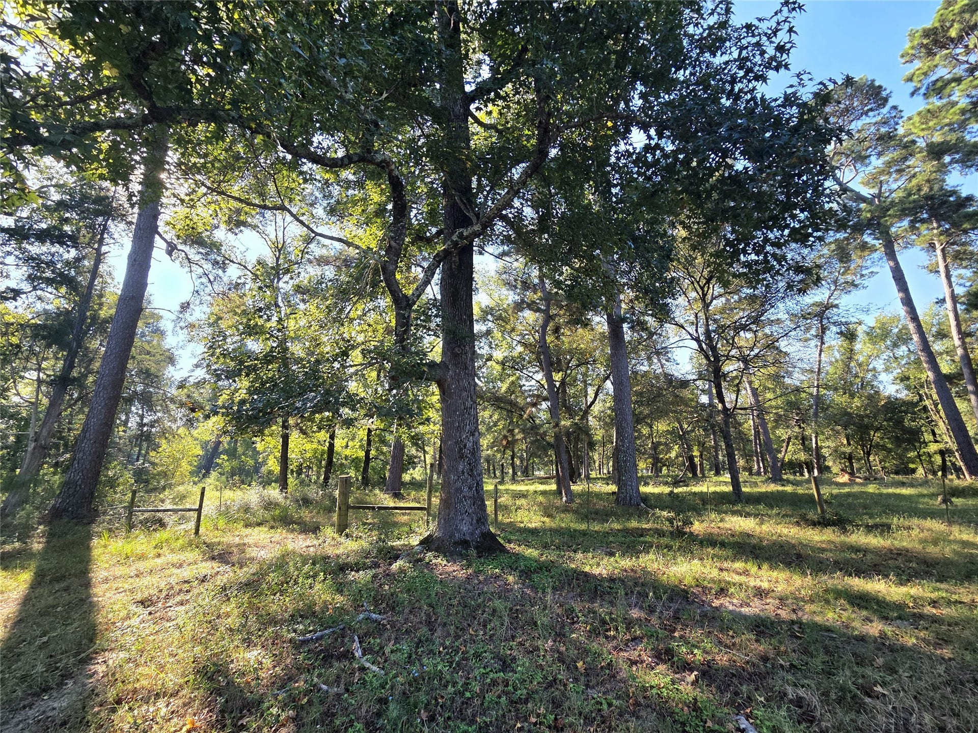 10094 Stidham Road, Conroe, TX 77302 10094 Stidham Road, Conroe, TX 77302