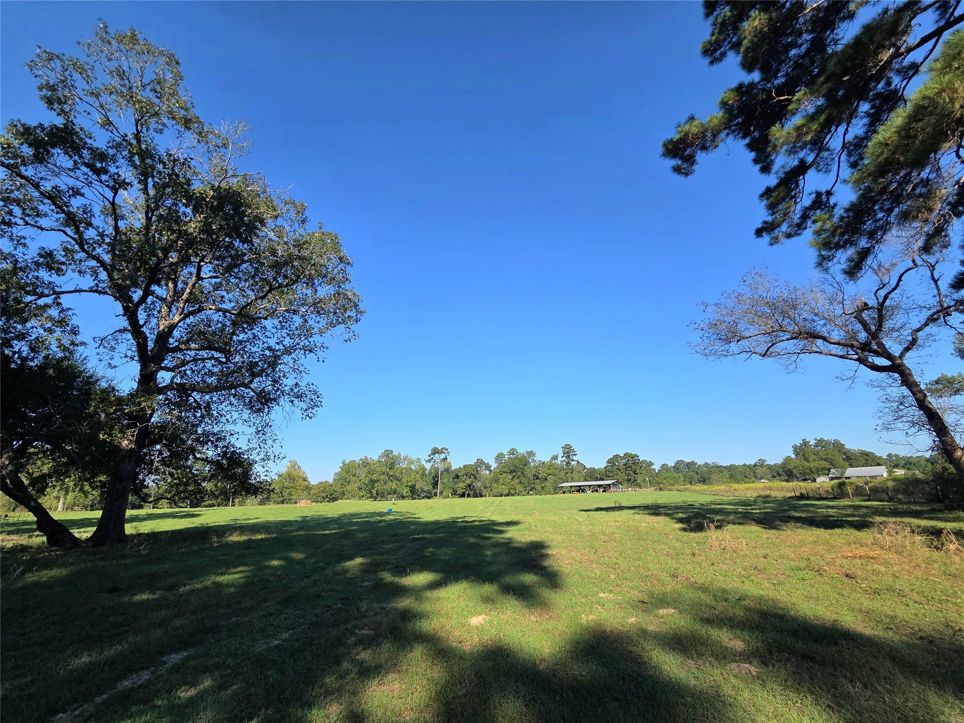 10094 Stidham Road, Conroe, TX 77302 10094 Stidham Road, Conroe, TX 77302