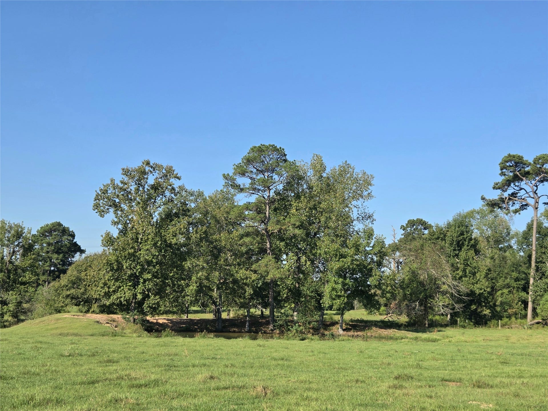 10094 Stidham Road, Conroe, TX 77302 Alt view of pond. The pond is located across from the larger pole barn.