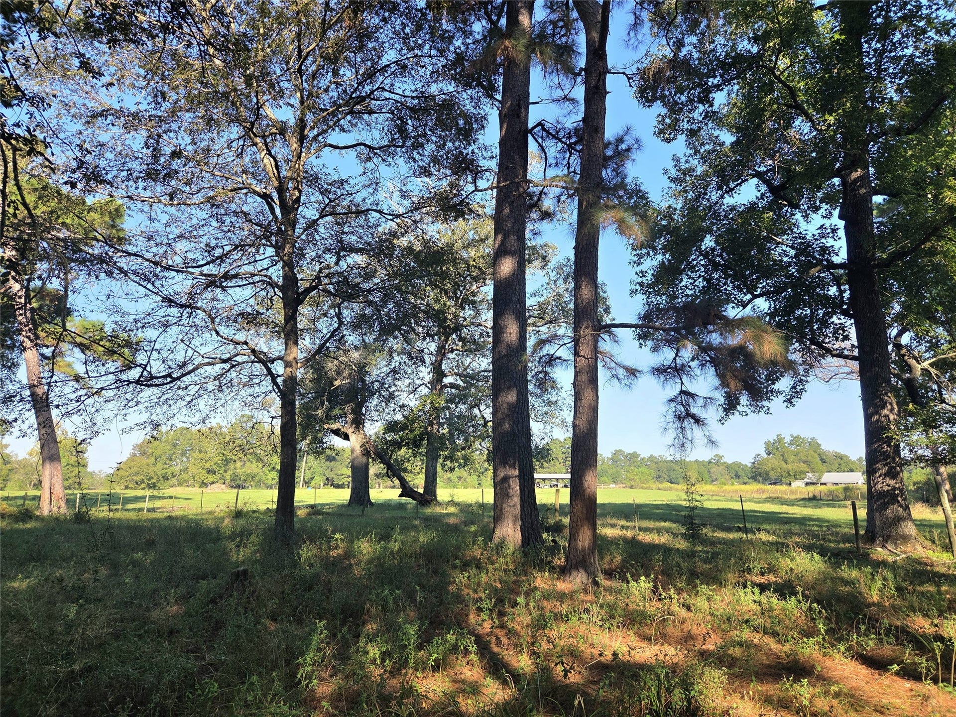 10094 Stidham Road, Conroe, TX 77302 10094 Stidham Road, Conroe, TX 77302