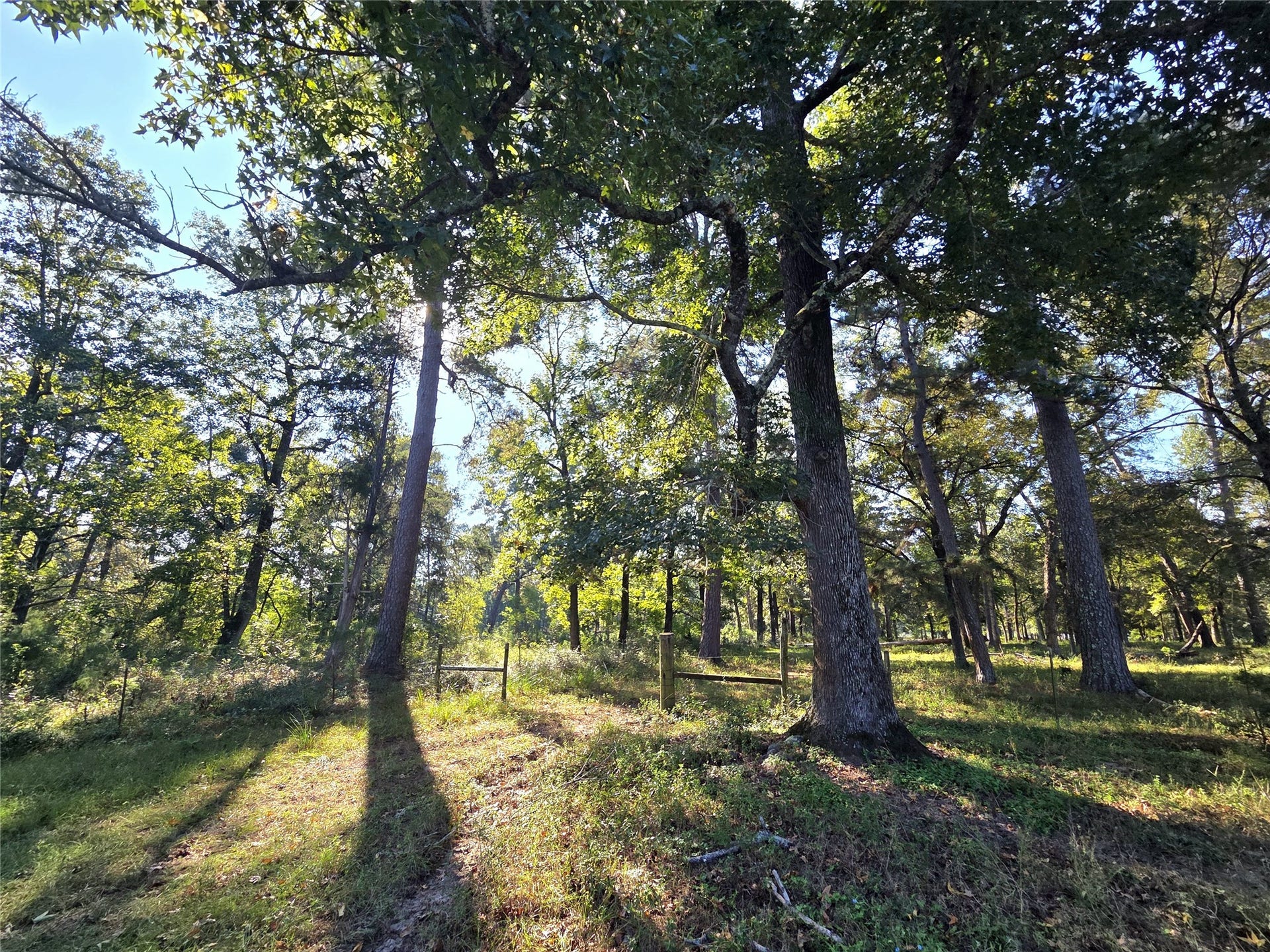 10094 Stidham Road, Conroe, TX 77302 10094 Stidham Road, Conroe, TX 77302