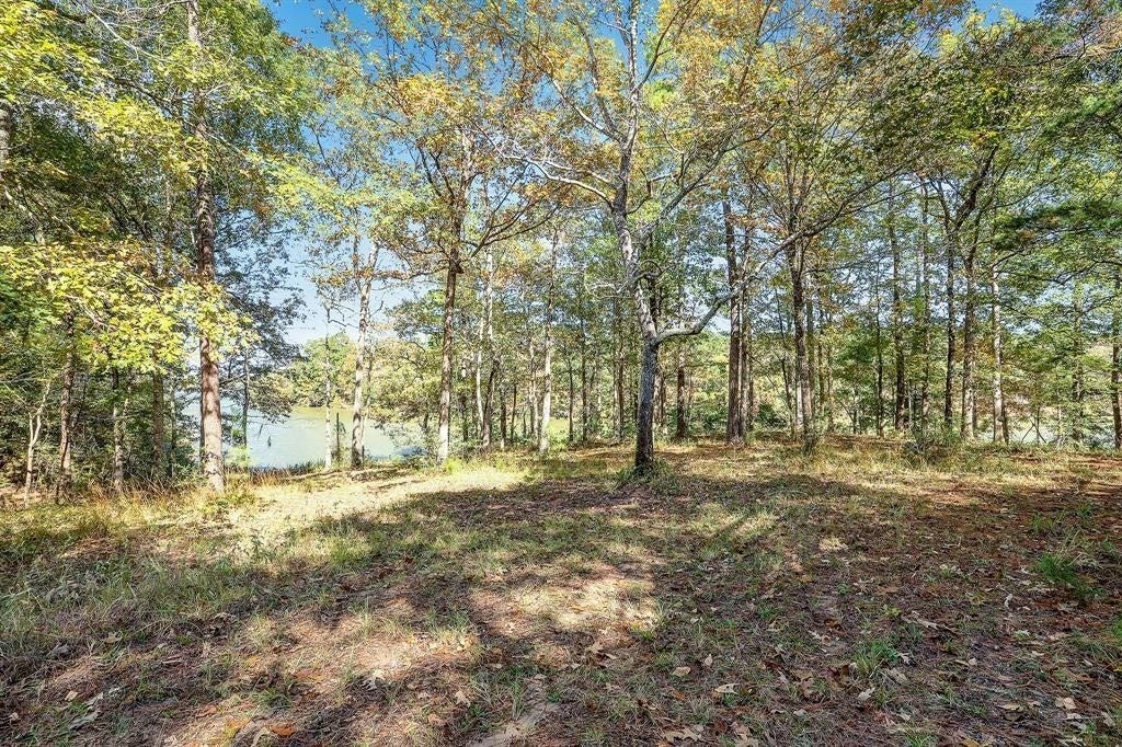 14948 Lot 10-11 Colt Lane, Willis, TX 77378 14948 Lot 10-11 Colt Lane, Willis, TX 77378