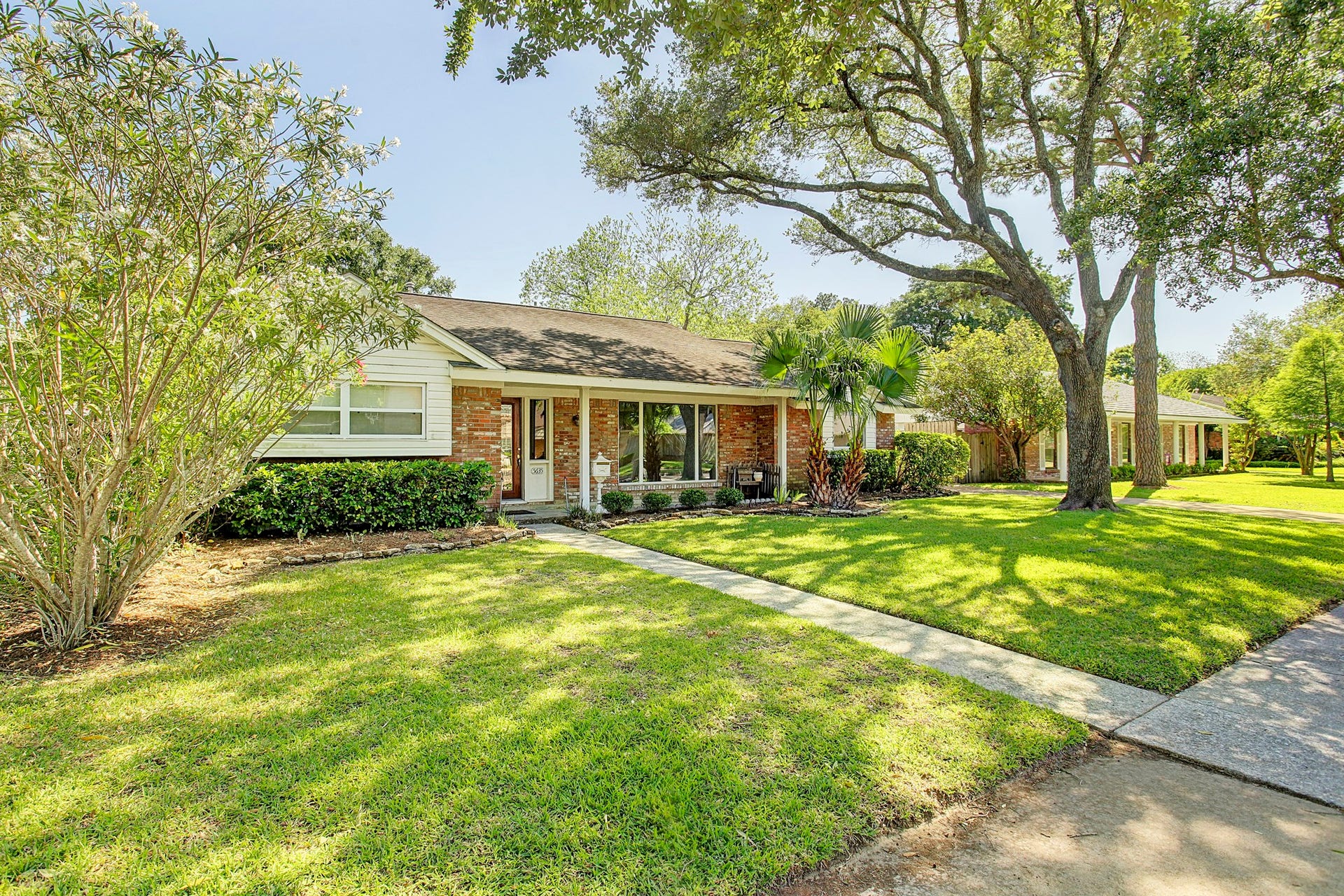 The kind of shade tree you cant order online. Established landscaping gives this front yard its character.