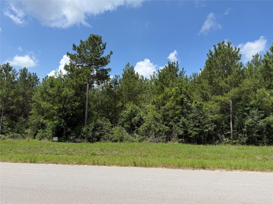 Property photo for 15751 Wood Grove Way, Willis, TX