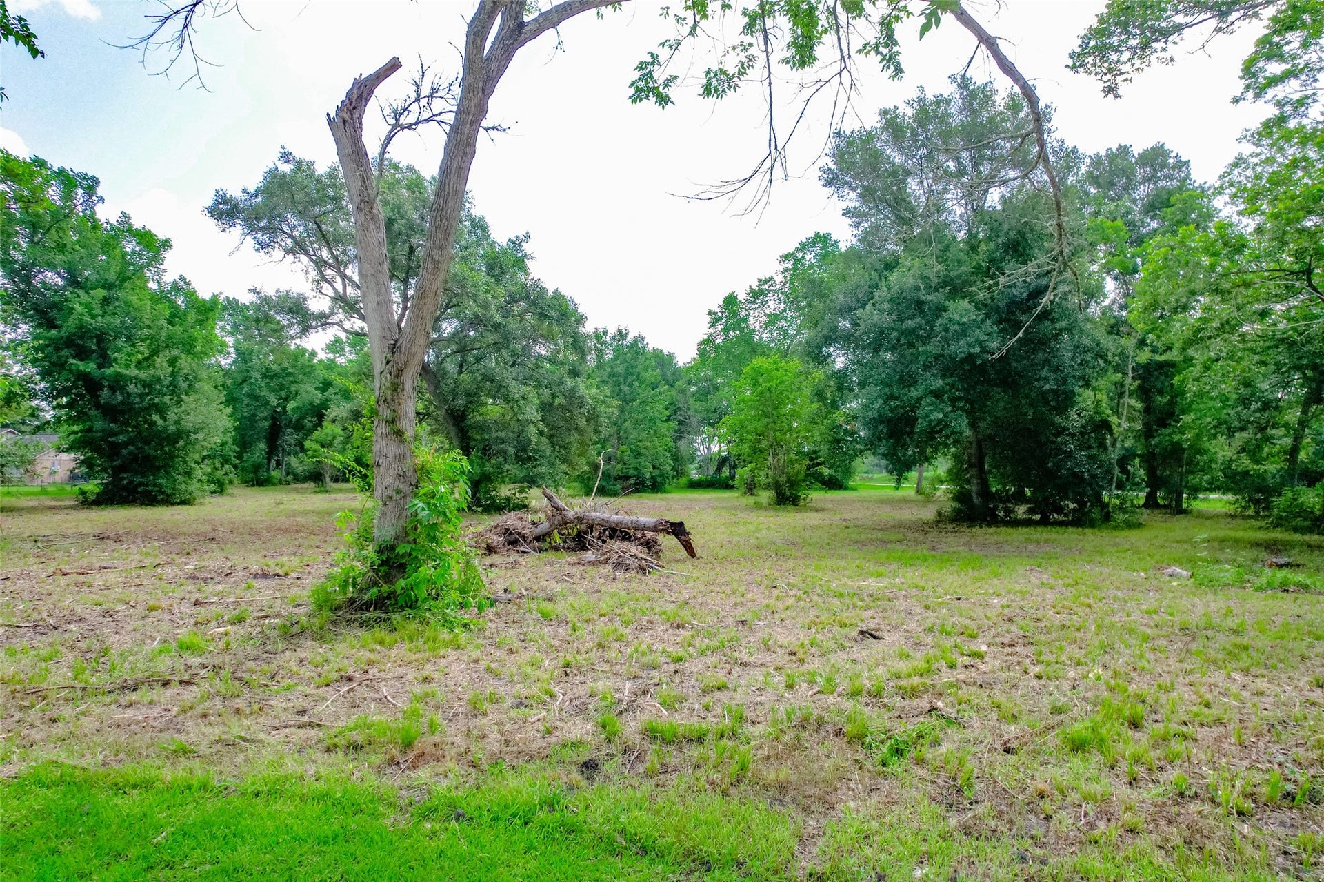 8519 Maywald Street, Manvel, TX 77578 8519 Maywald Street, Manvel, TX 77578