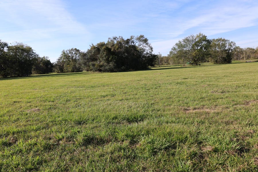 Property photo for 331 Green Pasture Court, Angleton, TX
