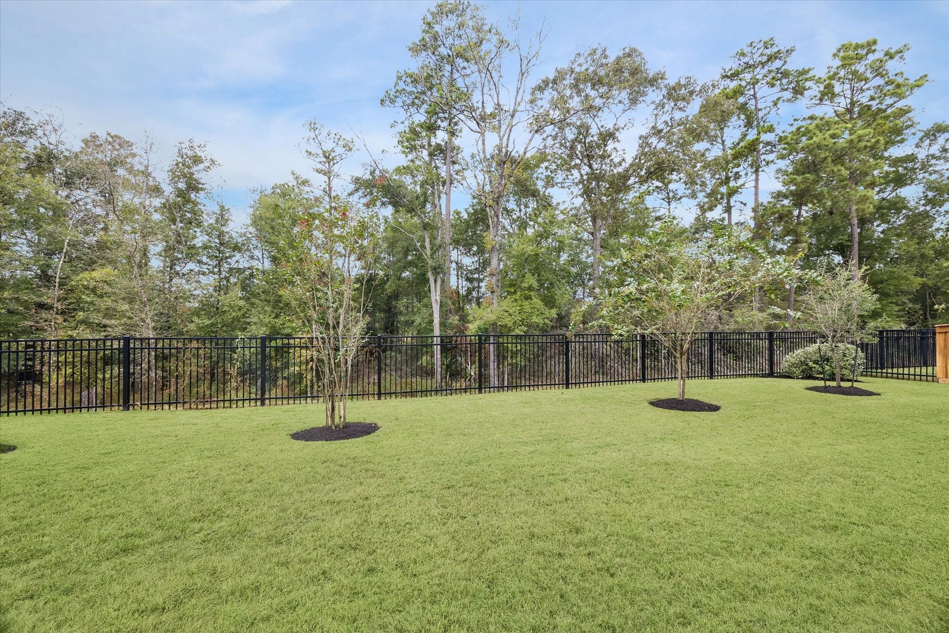 27720 Hazelbrook Lane, Spring, TX 77386 View of your OVERSIZED 80' lot backing a beautiful Nature Reserve.