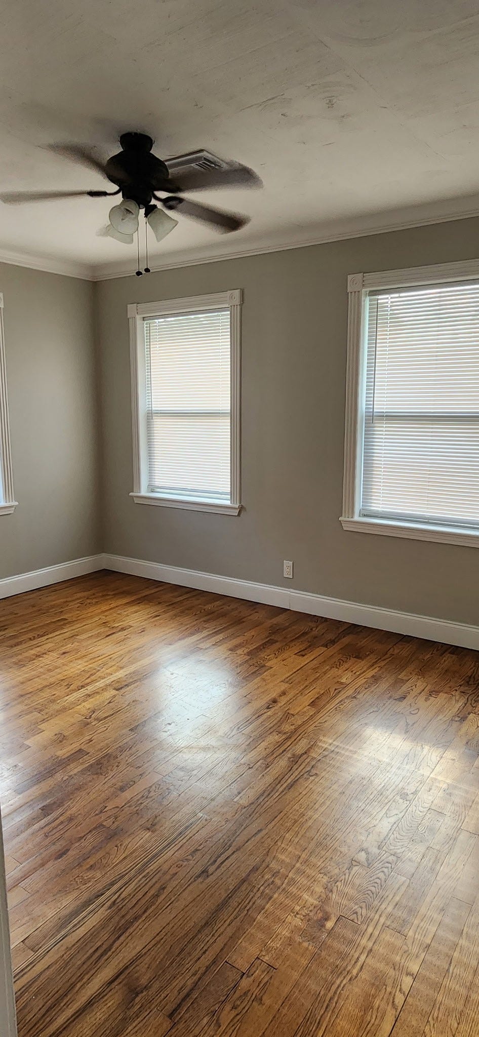 1807 Angeline Street, Houston, TX 77009 1807 Angeline Street, Houston, TX 77009