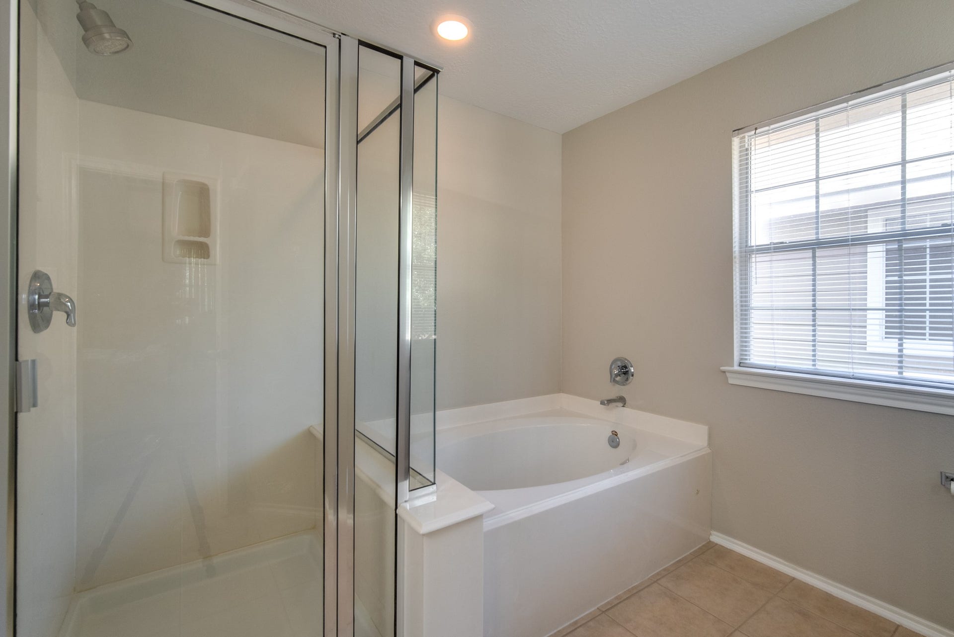 3310 Orchid Trace Lane, Houston, TX 77047 Soaking tube and shower
