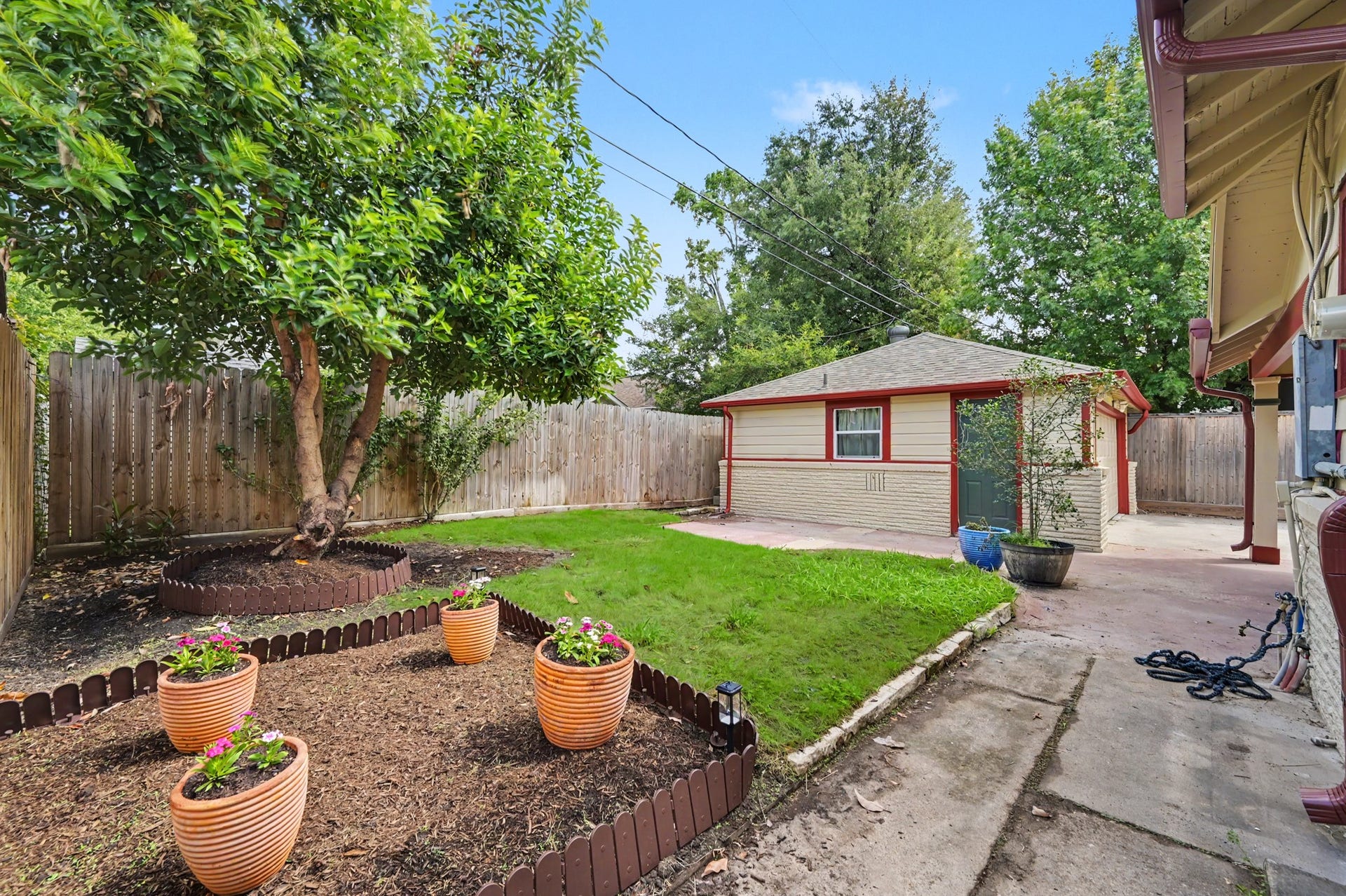 807 Key Street, Houston, TX 77009 Fenced backyard with green lawn, established landscaping, garden beds, and a mature avocado tree providing shade and character.