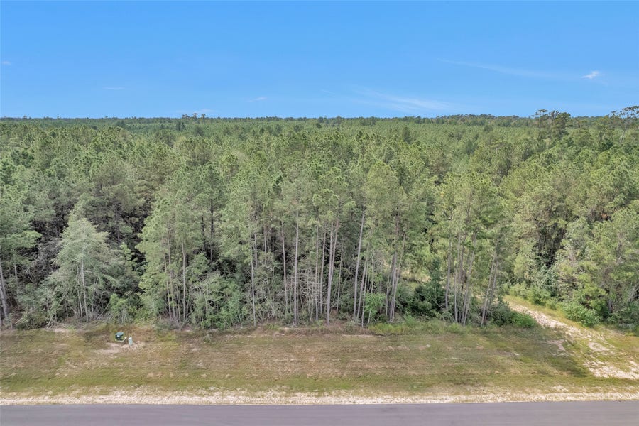 Property photo for 11976 Highbranch Way, Willis, TX