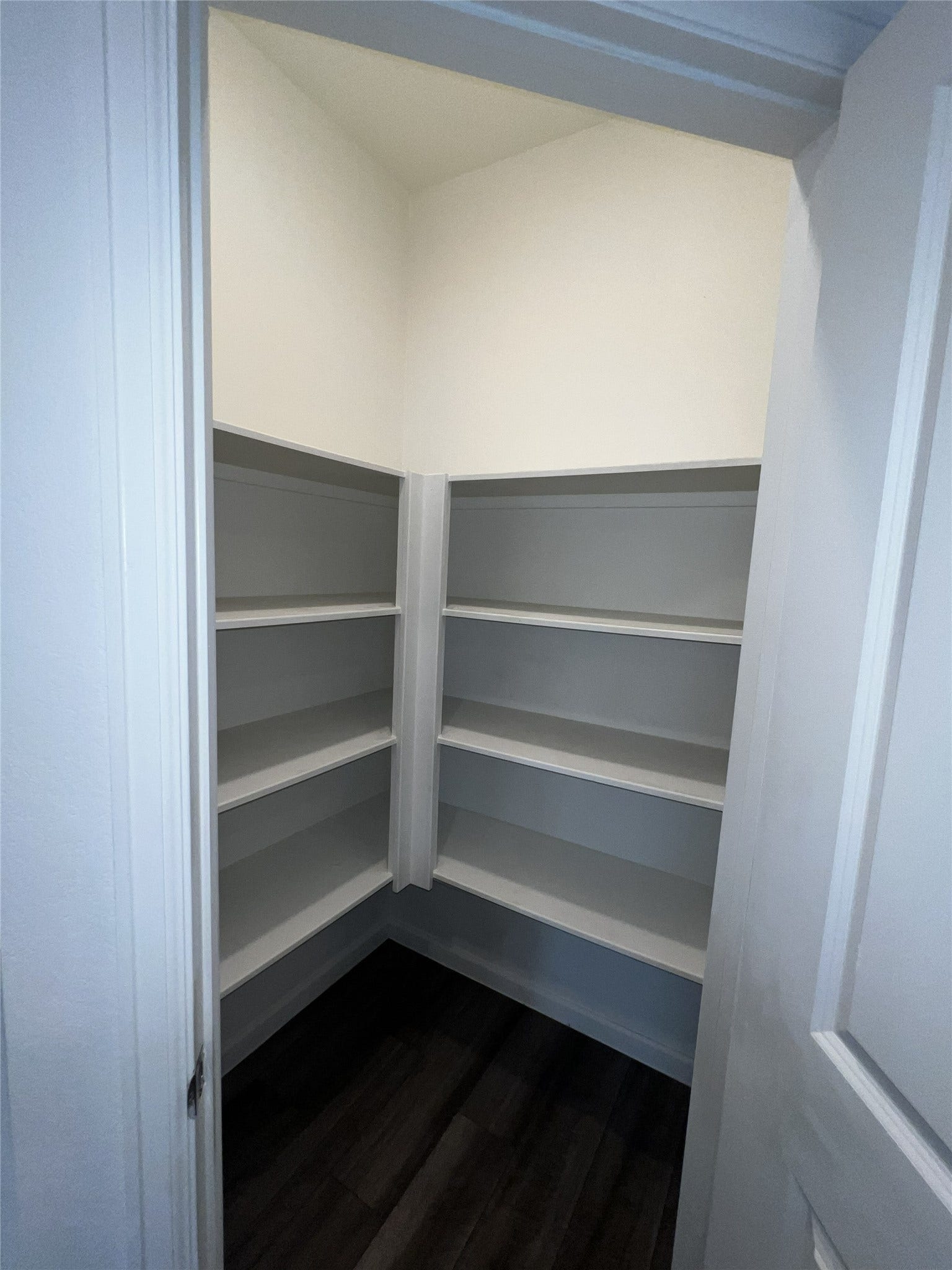 1065 Water Oak Lane, Brookshire, TX 77423 Walk-in Pantry